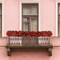 12 Pcs 100 ft Flower Garland Artificial Rose Vine with Green Leaves Hanging Artificial Flower Vines Ivy Garlands Wall Garden Decor for Room Wedding Birthday Arch Decor
